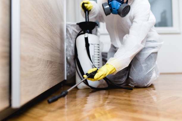 Best Pest Control for Businesses  in Glasco, NY