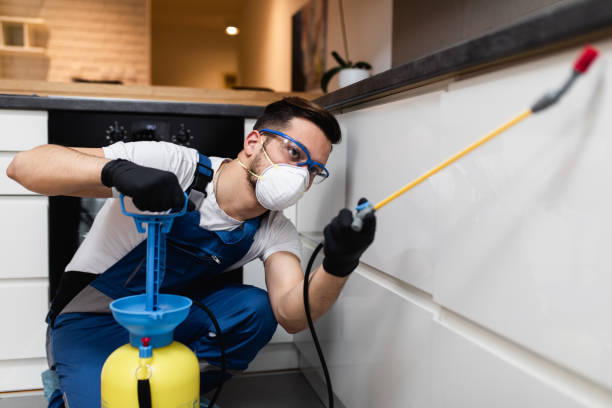 Best Best Pest Control Companies  in Glasco, NY