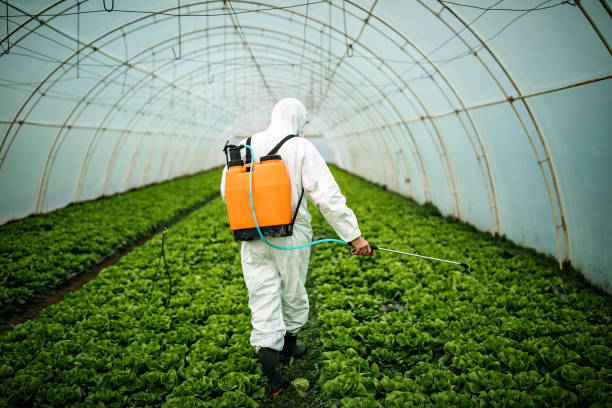 Best Emergency Pest Control  in Glasco, NY