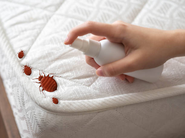 Best Pest Control Near Me in Glasco, NY