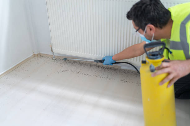 Best Cockroach Control Services  in Glasco, NY