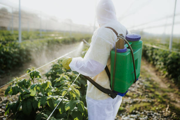 Reliable Glasco, NY Pest Control Solutions